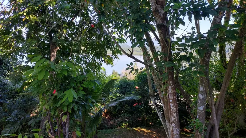 Casa 28 – Linda casa a venda no morro da Praia Grande em Paraty