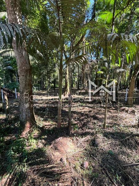 Terreno 13 – Ótimo terreno plano para venda em Paraty