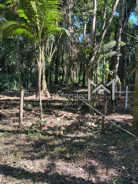 Terreno 13 – Ótimo terreno plano para venda em Paraty