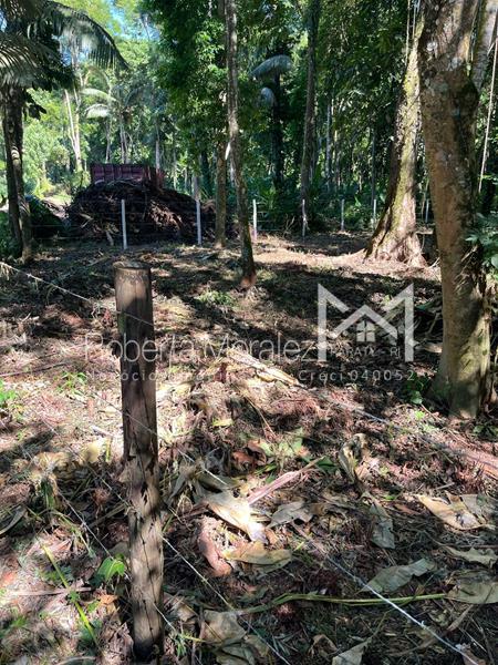 Terreno 13 – Ótimo terreno plano para venda em Paraty