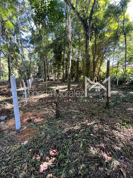 Terreno 13 – Ótimo terreno plano para venda em Paraty