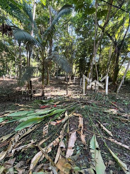 Terreno 13 – Ótimo terreno plano para venda em Paraty