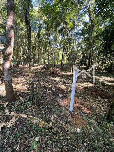 Terreno 13 – Ótimo terreno plano para venda em Paraty
