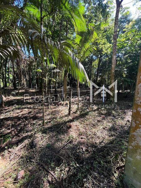 Terreno 13 – Ótimo terreno plano para venda em Paraty