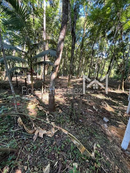 Terreno 13 – Ótimo terreno plano para venda em Paraty