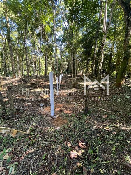 Terreno 13 – Ótimo terreno plano para venda em Paraty