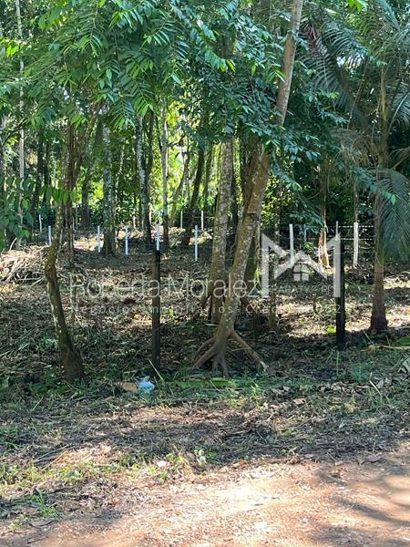 Terreno 13 – Ótimo terreno plano para venda em Paraty
