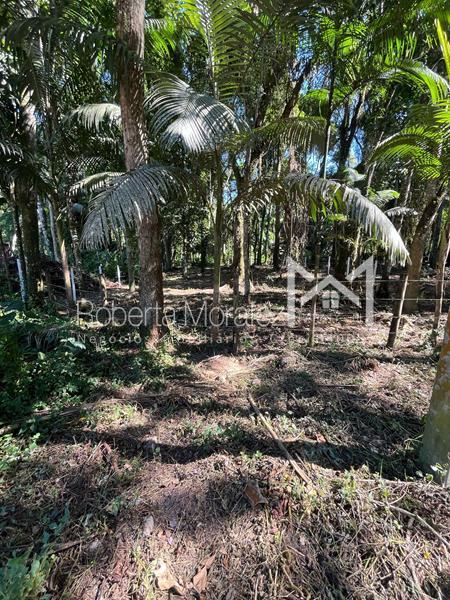 Terreno 13 – Ótimo terreno plano para venda em Paraty