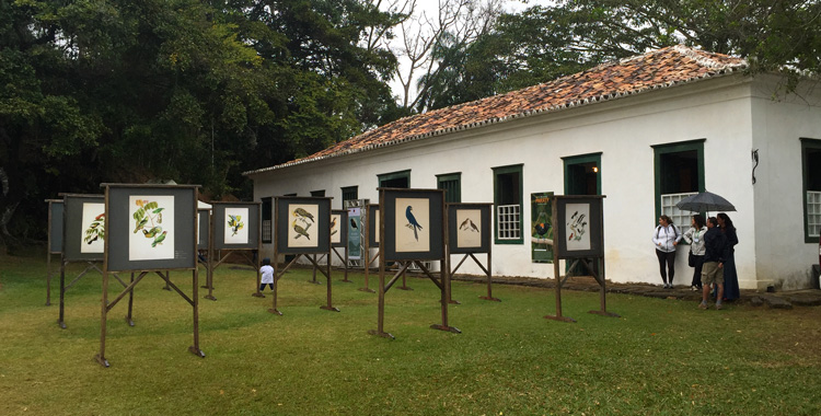Festival de Aves de Paraty 2026  chega &agrave; sua&nbsp;11&ordf; edi&ccedil;&atilde;o, reafirmando seu papel como refer&ecirc;ncia nacional na preserva&ccedil;&atilde;o da biodiversidade.