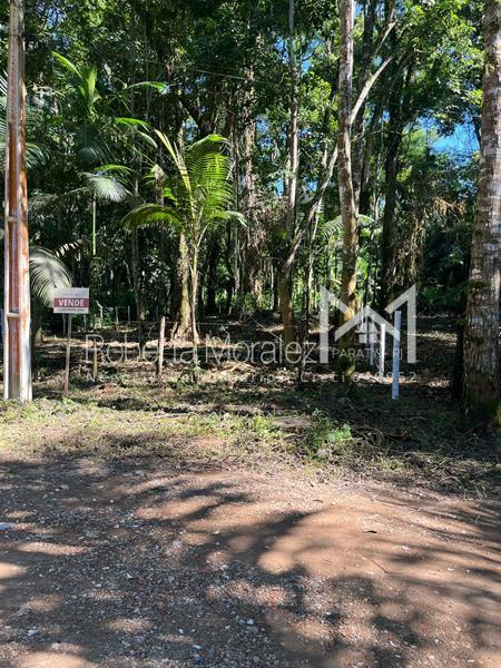 Ótimo terreno plano para venda em Paraty