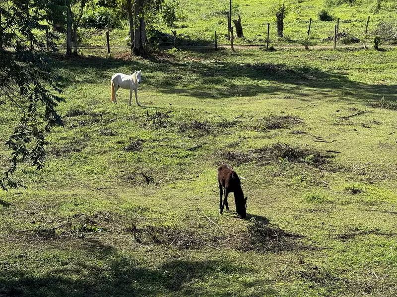 Sítios a venda em Paraty. Oferecemos sítios, chácaras e fazendas próximos ao mar ou na Zona Rural a venda em Paraty