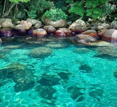 ilha-dos-cocos-06-1-730x750-1-r5fxat0jmzehd8bapqeertk829d1u5jau8tms04blc