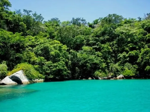 ilha-dos-cocos-10-730x486-1